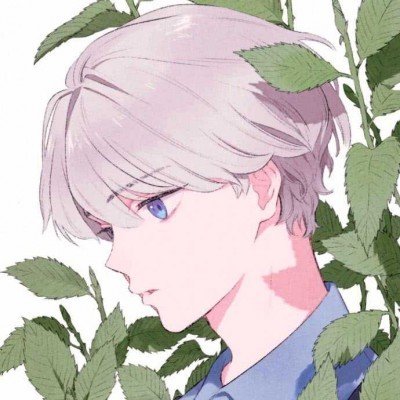 蒲公英